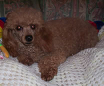 Mother Lemmares Lucille