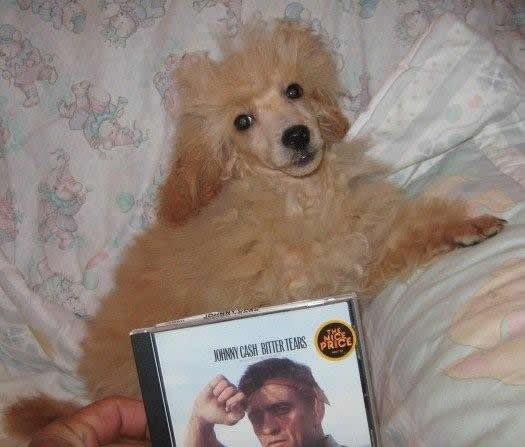 Piper & Buddy's male on 18 October 2009