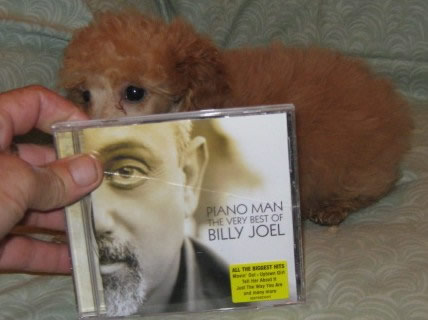 Topaz male on 7 August 2009