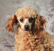 Mother Lepoontz La Belle